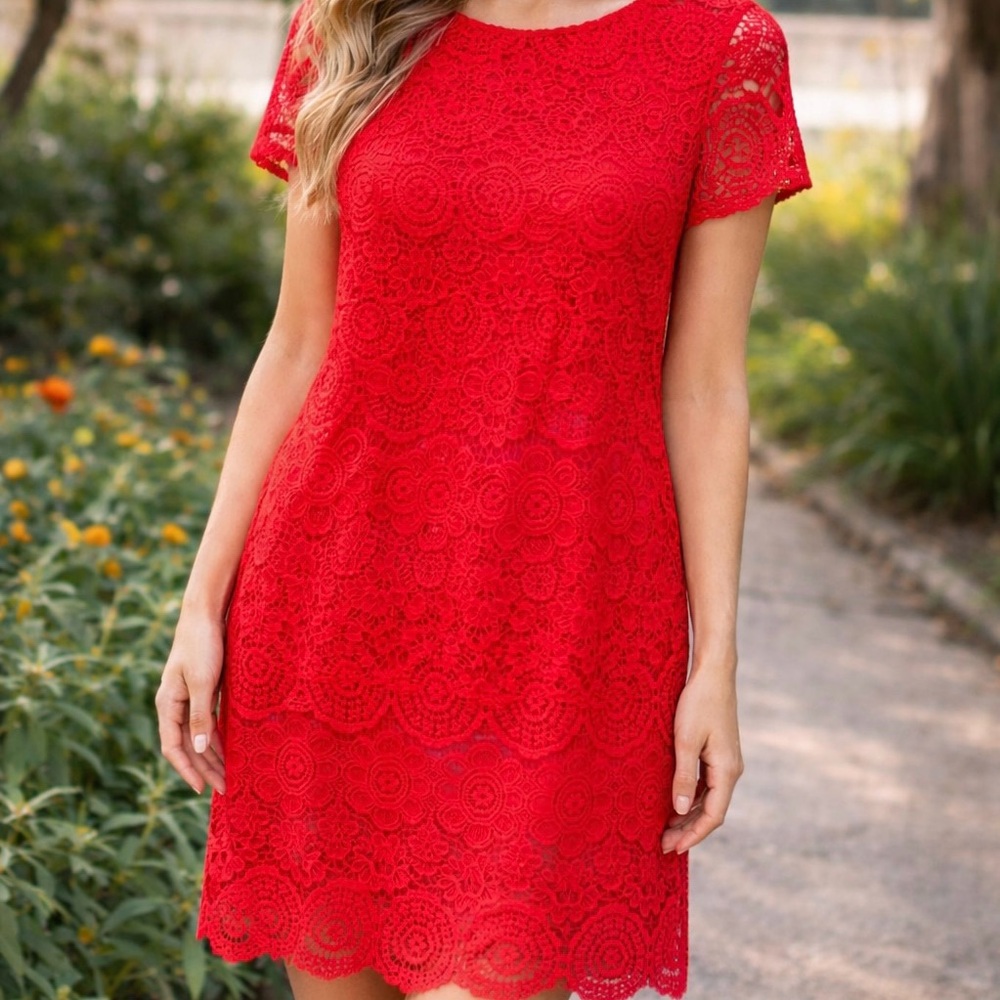 Landry By Shelli Segal Red Lace Bodycon Cocktail Dress Size 2 Valentine